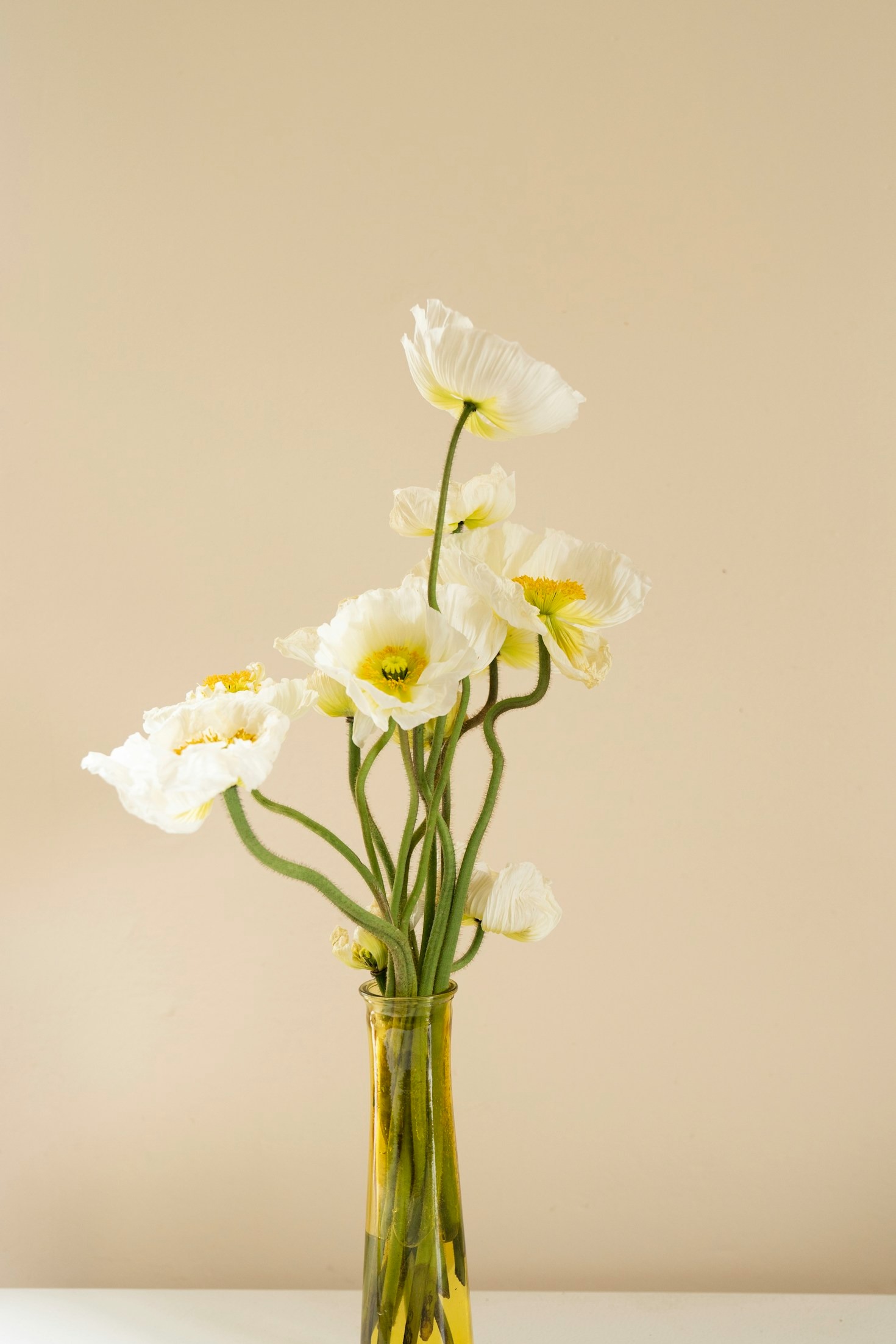 How to Choose the Perfect Bouquet for Any Occasion